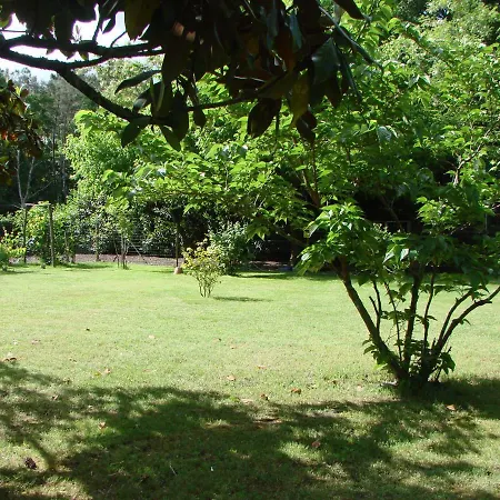 Le Magnolia *